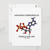 Adenosine Trifosfaat (ATP) Energie voor leven Briefkaart (Voorkant / Achterkant)