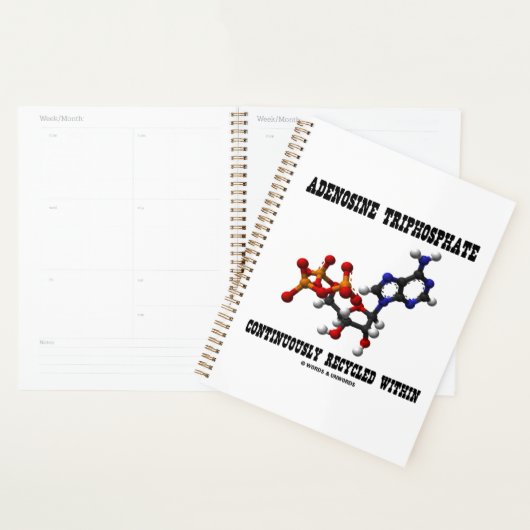 Adenosine Trifosfaat Ononderbroken gerecycleerde A Planner (Display)