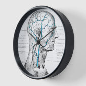 Aderen in het gezicht Spieren  anatomie (Hoek)