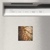 Aders van de herfst magneet (Insitu (Vaatwasser))