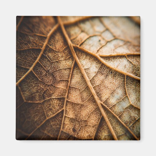 Aders van de herfst magneet (Voorkant)
