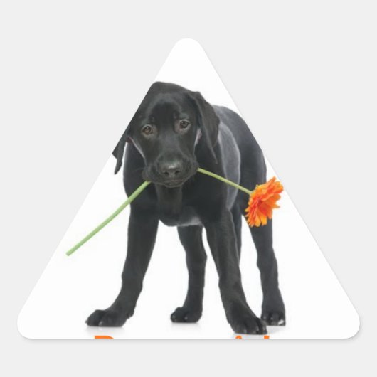 adesivo cão/flor sticker (Voorkant)