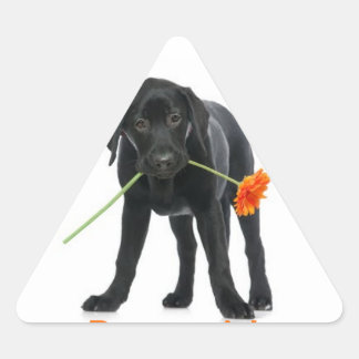adesivo cão/flor sticker