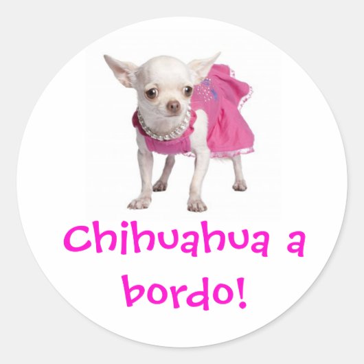Adesivo - Chihuahua a bordo! Ronde Sticker (Voorkant)