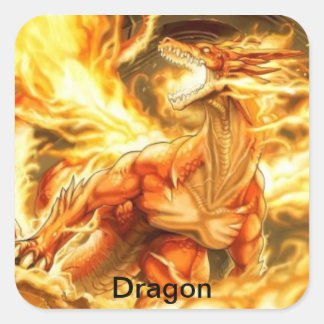 adesivo de dragão vierkante sticker