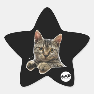 Adesivo Ster Sticker