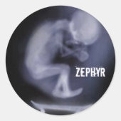 adesivo Zephyr Skate Ronde Sticker (Voorkant)