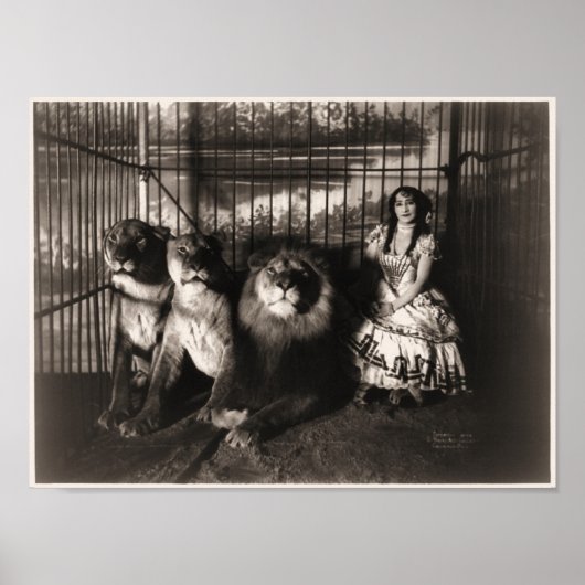 Adgie and The Lions 1899 Poster (Voorkant)