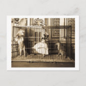 Adgie en haar opgeleide leeuwen1897 briefkaart (Voorkant)