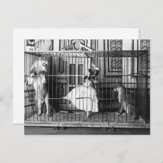 Adgie en haar opgeleide leeuwen 1897 briefkaart (Voorkant / Achterkant)