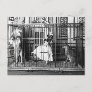 Adgie en haar opgeleide leeuwen 1897 briefkaart