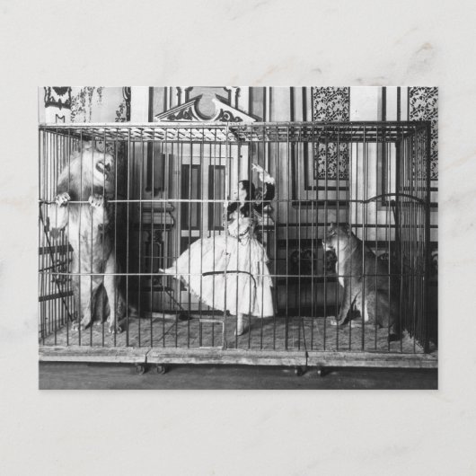 Adgie en haar opgeleide leeuwen 1897 briefkaart (Voorkant)