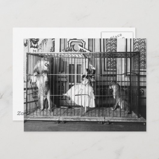 Adgie en haar opgeleide leeuwen  Circus 1897 Briefkaart (Voorkant / Achterkant)