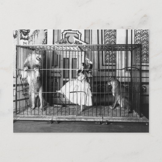 Adgie en haar opgeleide leeuwen  Circus 1897 Briefkaart (Voorkant)