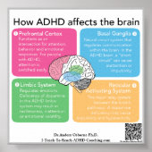ADHD hersenen* Poster (Voorkant)