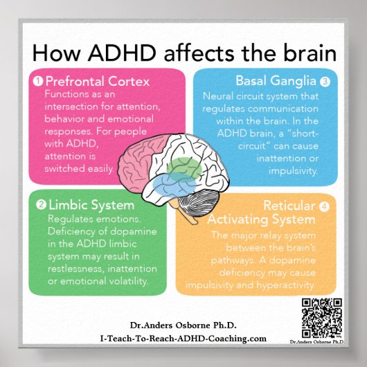 ADHD hersenen* Poster (Voorkant)