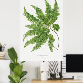 Adiantum Curvatum van Ferns British en Exotic (1) Poster (Thuiskantoor)