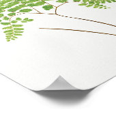 Adiantum Pedatum (Northern Maidenhair Fern) from F Poster (Hoek)