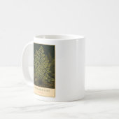 Adiantum - Vintage Botanische Mok (Voorkant links)