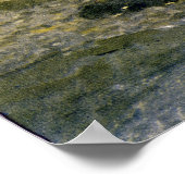 Adirondack Birches Poster (Hoek)