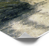 Adirondack Birches Poster (Hoek)