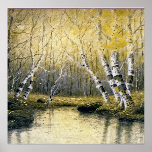 Adirondack Birches Poster (Voorkant)