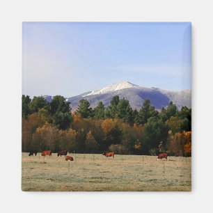 Adirondack boerderij magneet