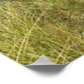 Adirondack Chairs in de Dunes Poster (Hoek)