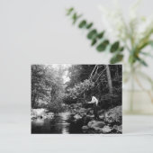 Adirondack Fly Fishing Briefkaart (Staand voorkant)