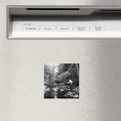 Adirondack Fly Fishing Magneet (Insitu (Vaatwasser))