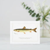 Adirondack Frost Fish Briefkaart (Staand voorkant)