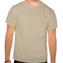 Adirondack High Peaks T-Shirt (Bruin Logo)