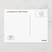 Adirondack Lake Post Card Briefkaart (Achterkant)