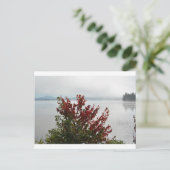 Adirondack Morning Mist Briefkaart (Staand voorkant)