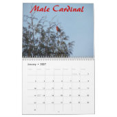 Adirondack Natuur Agenda Kalender (Jan 2027)