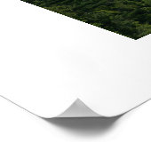 ADIRONDACK - NORTH LAKE GEORGE POSTER (Hoek)