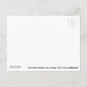 Adirondack Post Card Briefkaart (Achterkant)