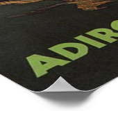 ADIRONDACK POSTER (Hoek)