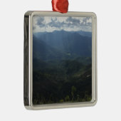 Adirondack Range vanaf Giant Mountain Metalen Ornament (Rechts)