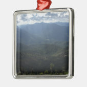 Adirondack Range vanaf Giant Mountain Metalen Ornament (Links)