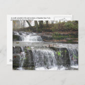 Adirondack Waterfall Briefkaart (Voorkant / Achterkant)