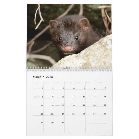Adirondack Wildlife 2026 Kalender (Mar 2026)