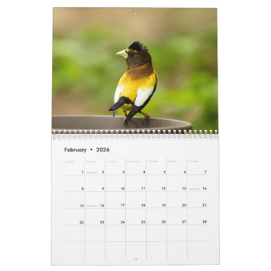 Adirondack Wildlife 2026 Kalender (Feb 2026)