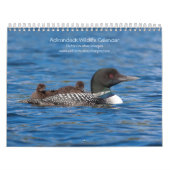 Adirondack Wildlife 2026 Kalender (Hoes)