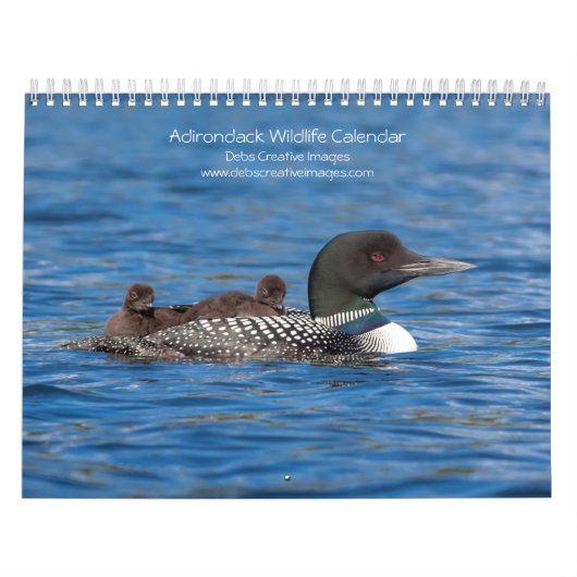 Adirondack Wildlife 2026 Kalender (Hoes)