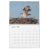 Adirondack Wildlife 2026 Kalender (Jan 2026)
