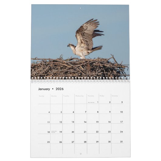 Adirondack Wildlife 2026 Kalender (Jan 2026)