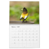 Adirondack Wildlife 2026 Kalender (Feb 2027)