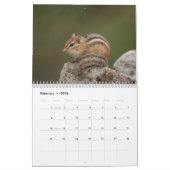 Adirondack Wildlife 2026 Kalender (Feb 2026)