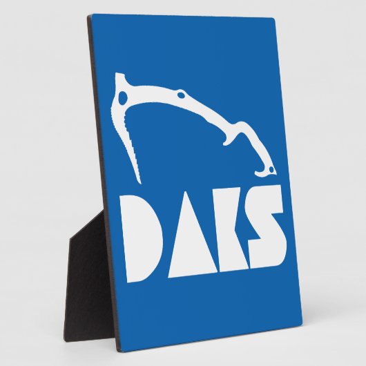 Adirondacks ijsbaan fotoplaat (Zijkant)